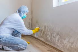 Best Mold Odor Removal Services  in Boonton, NJ