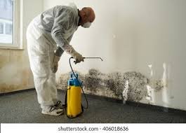 Best Mold Remediation for Healthcare Facilities  in Boonton, NJ